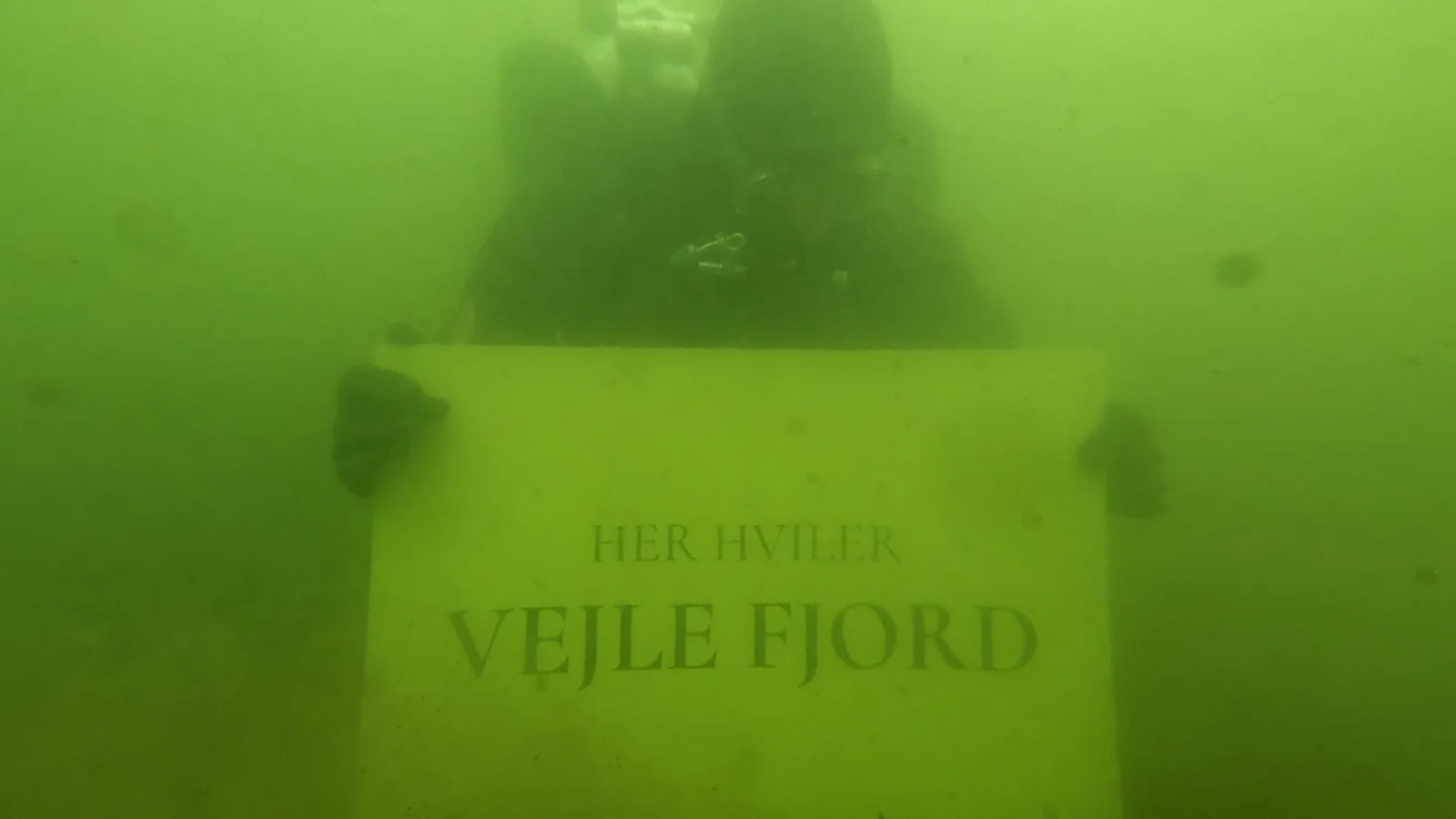 Vejle Fjord er død: Nu stedes fjorden til hvile med håbet om at genopstå