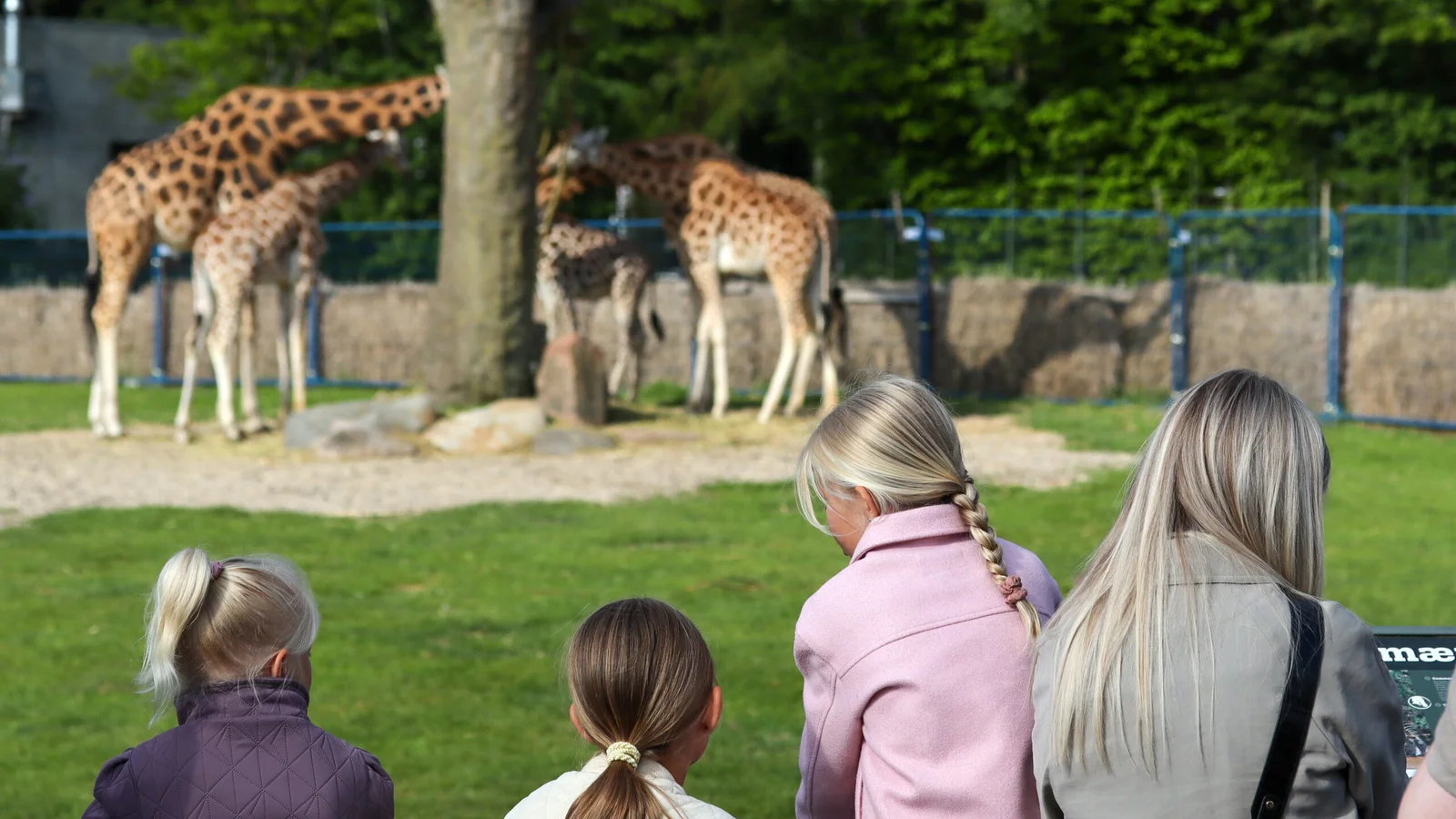 Det kan ikke undgå at koste på kerneopgaverne