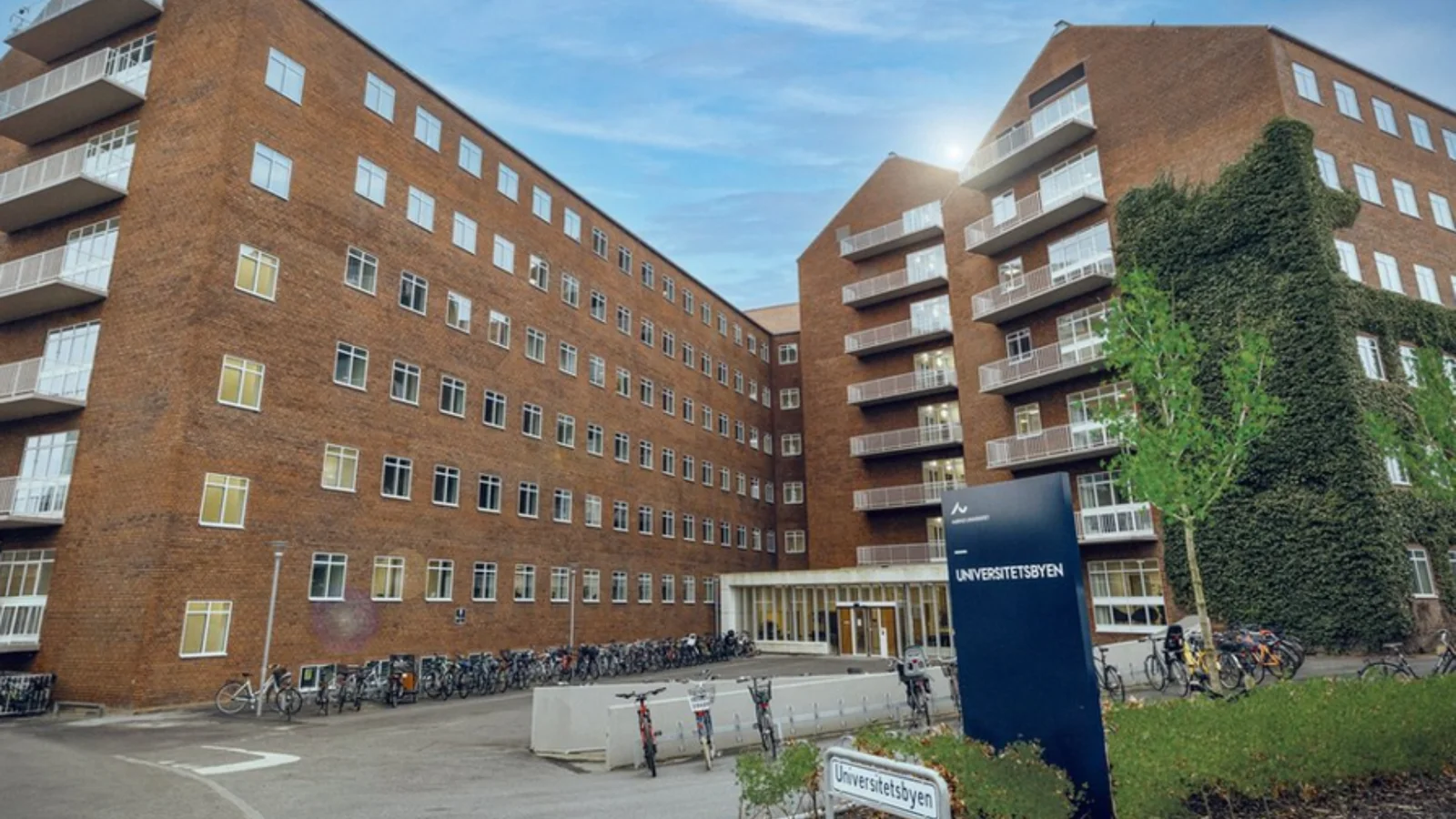 Aarhus-forskere får millionløft til forskning i fertilitet og molekylærbiologi
