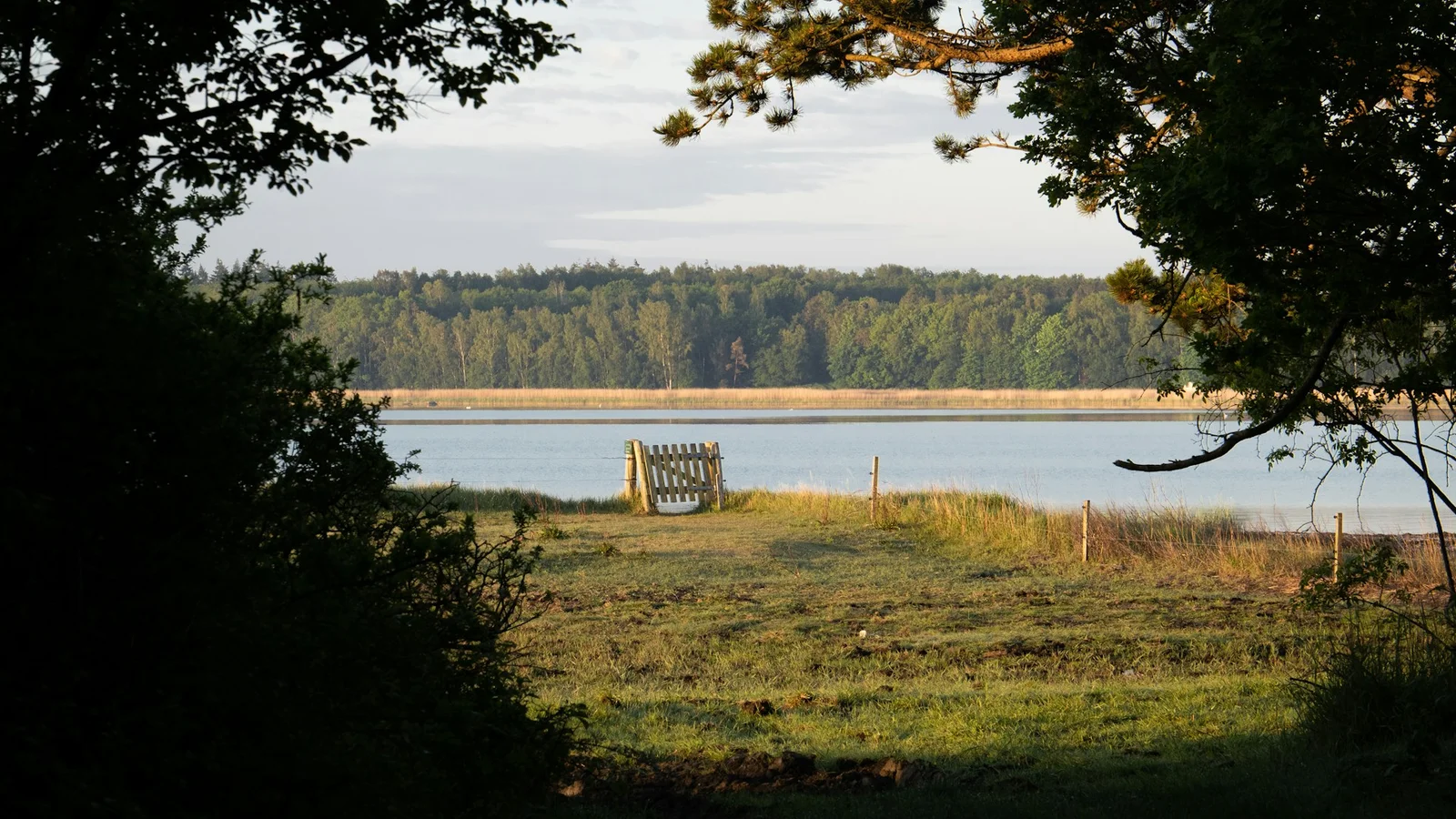 Endnu en ny skov kan være på vej til Holbæk: Lodsejere kan være med uden at sælge deres jord