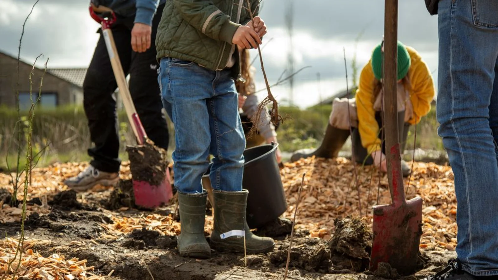 Skolebørn fra La Cour Skole planter mikroskov på Frederiksberg