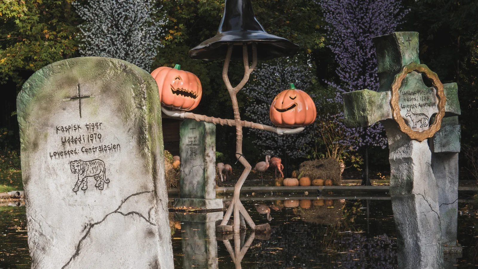 Aalborg Zoo løfter sløret for endnu større Halloween-fest i år