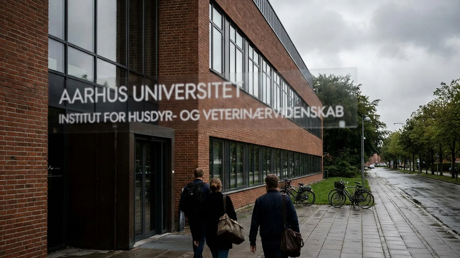 Forskere fra Aarhus Universitet stiller faglig viden om svineproduktion til rådighed