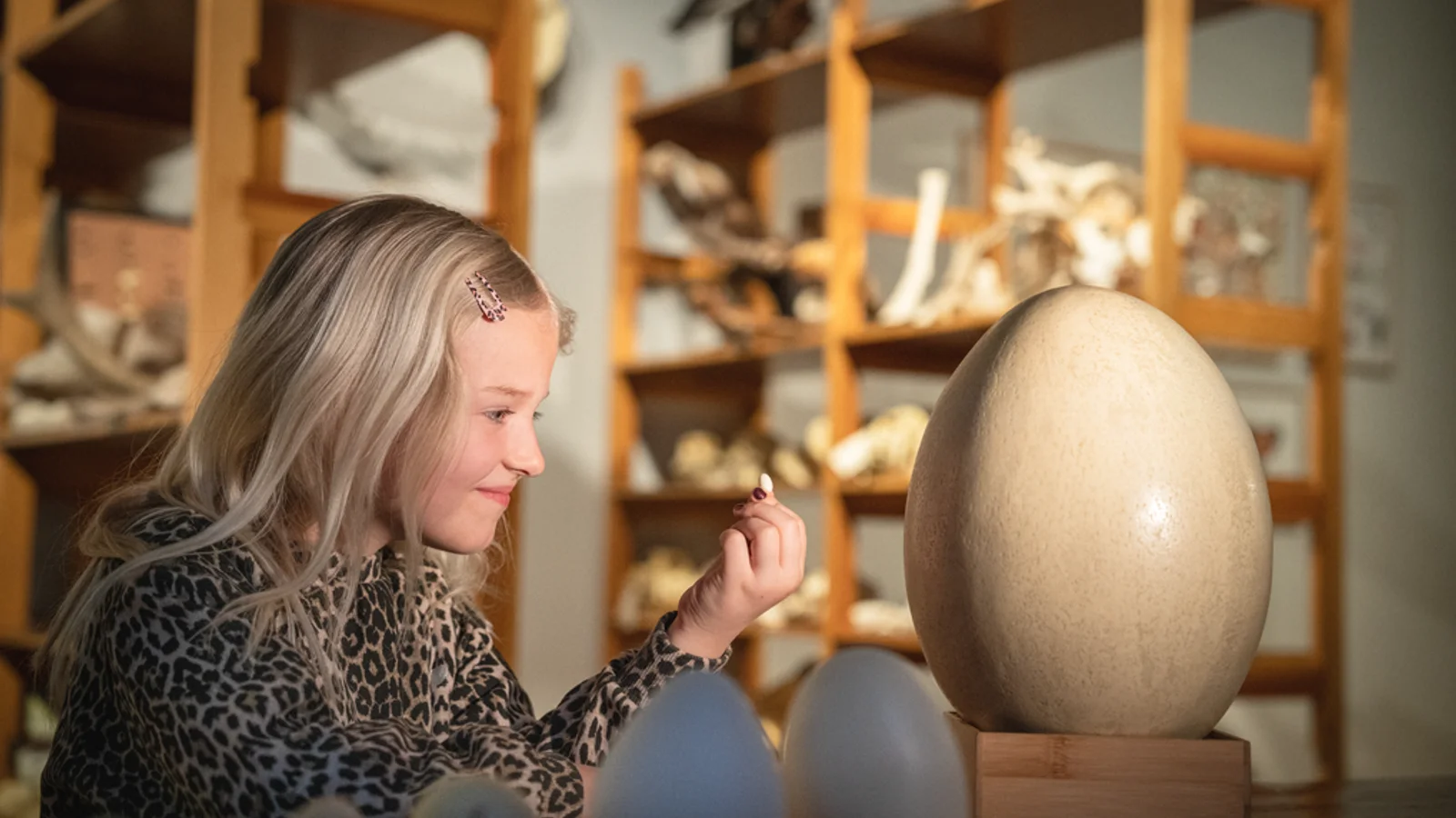 Oplev dinosauræg, fossile fugle og vilde fjer i påskeferien