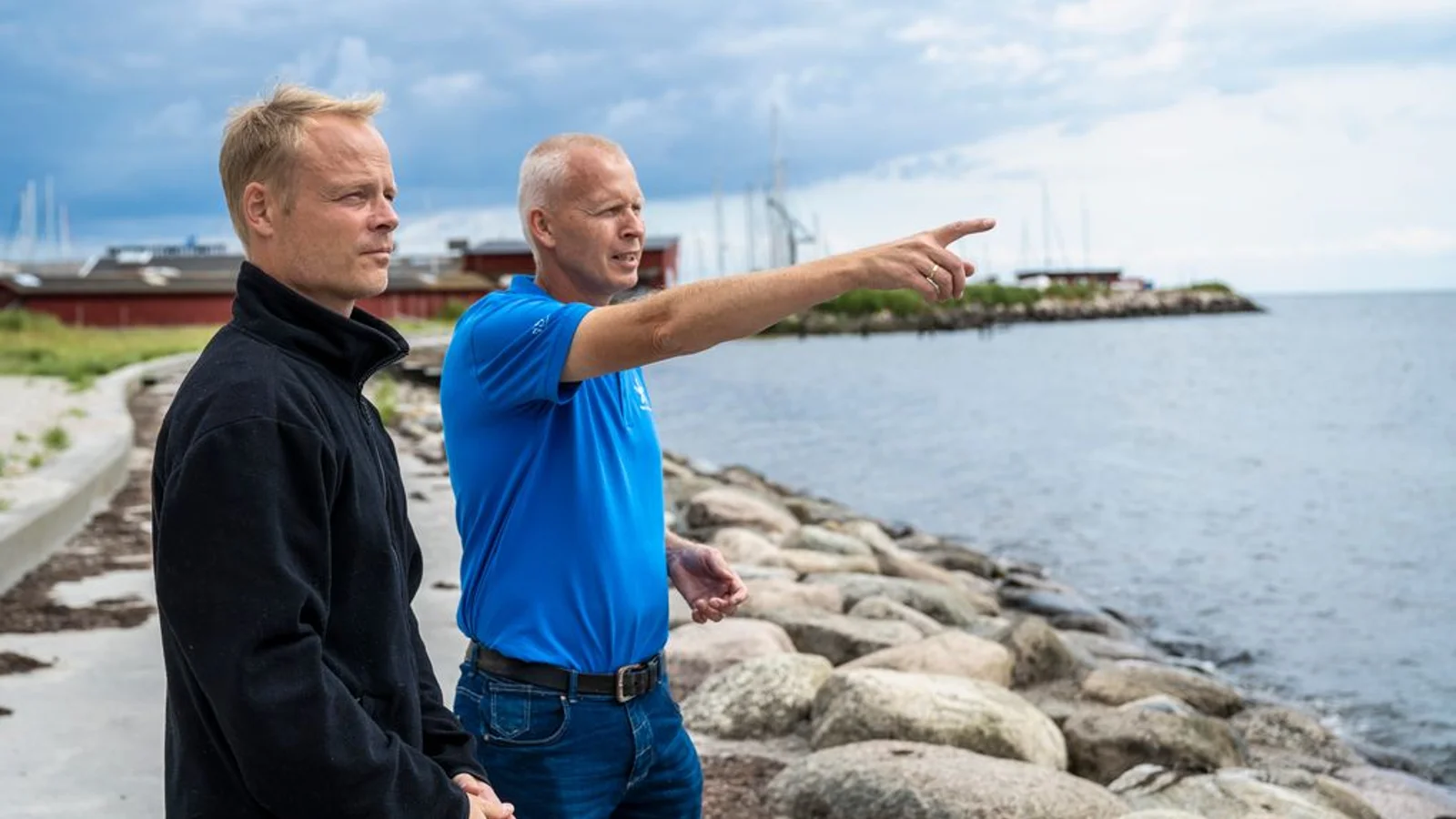 Store sten fra anlægsbyggeri får livet i Køge Bugt til at blomstre igen