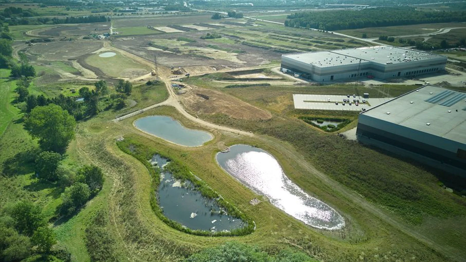 384 arter fundet ved klimaprojekt i Køge Nord