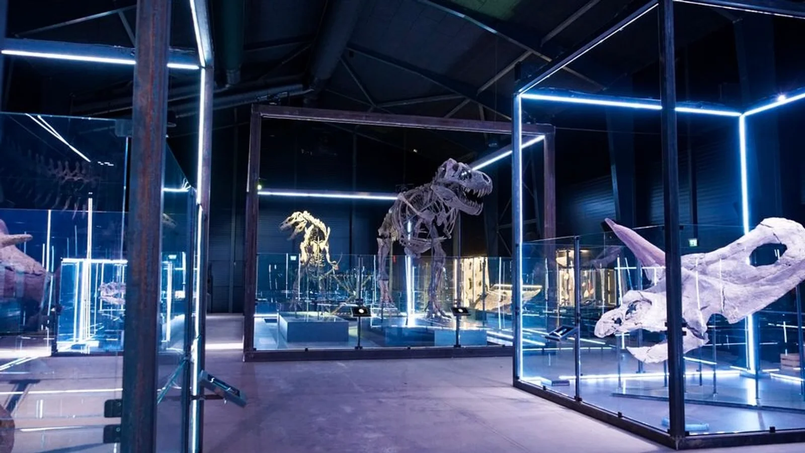 25.000 har allerede set T. rex og startet Jurassic-feberen i Danmark