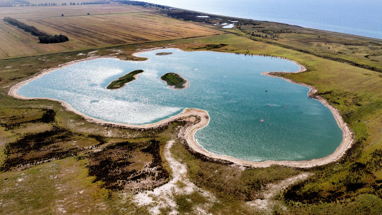 Ny natur ved Femern Bælt-projektet kommer i det fine selskab