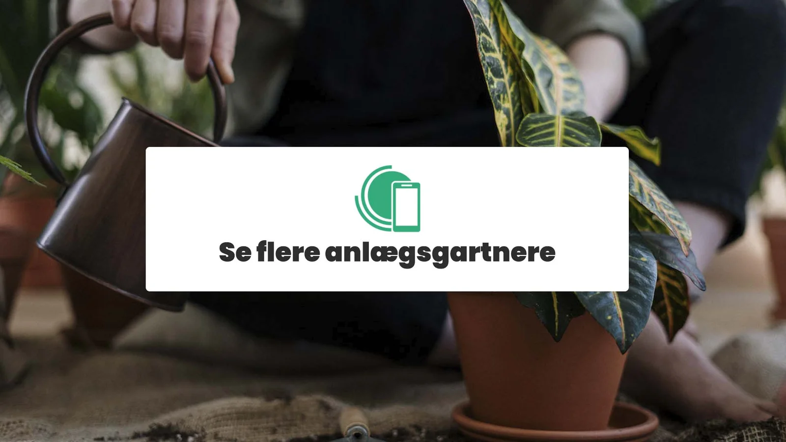 Se flere anlægsgartnere