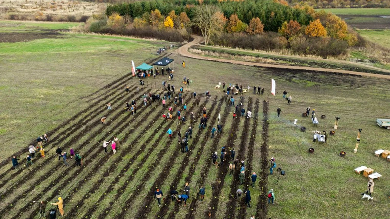 Vil du med ud at ”skovbade” i Himmelev Folkeskov?