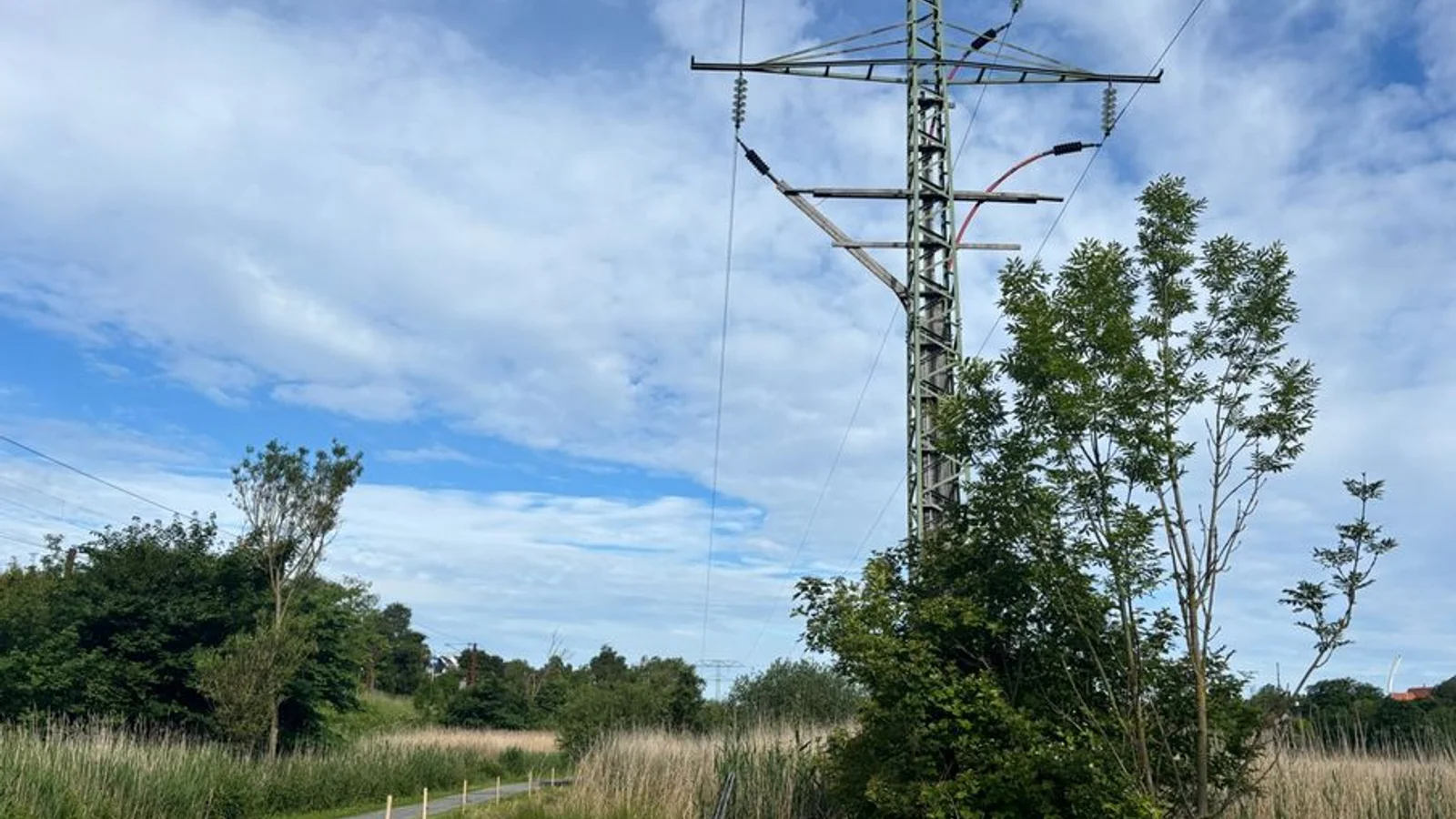 TREFOR nedtager elmaster i Kolding Ådal