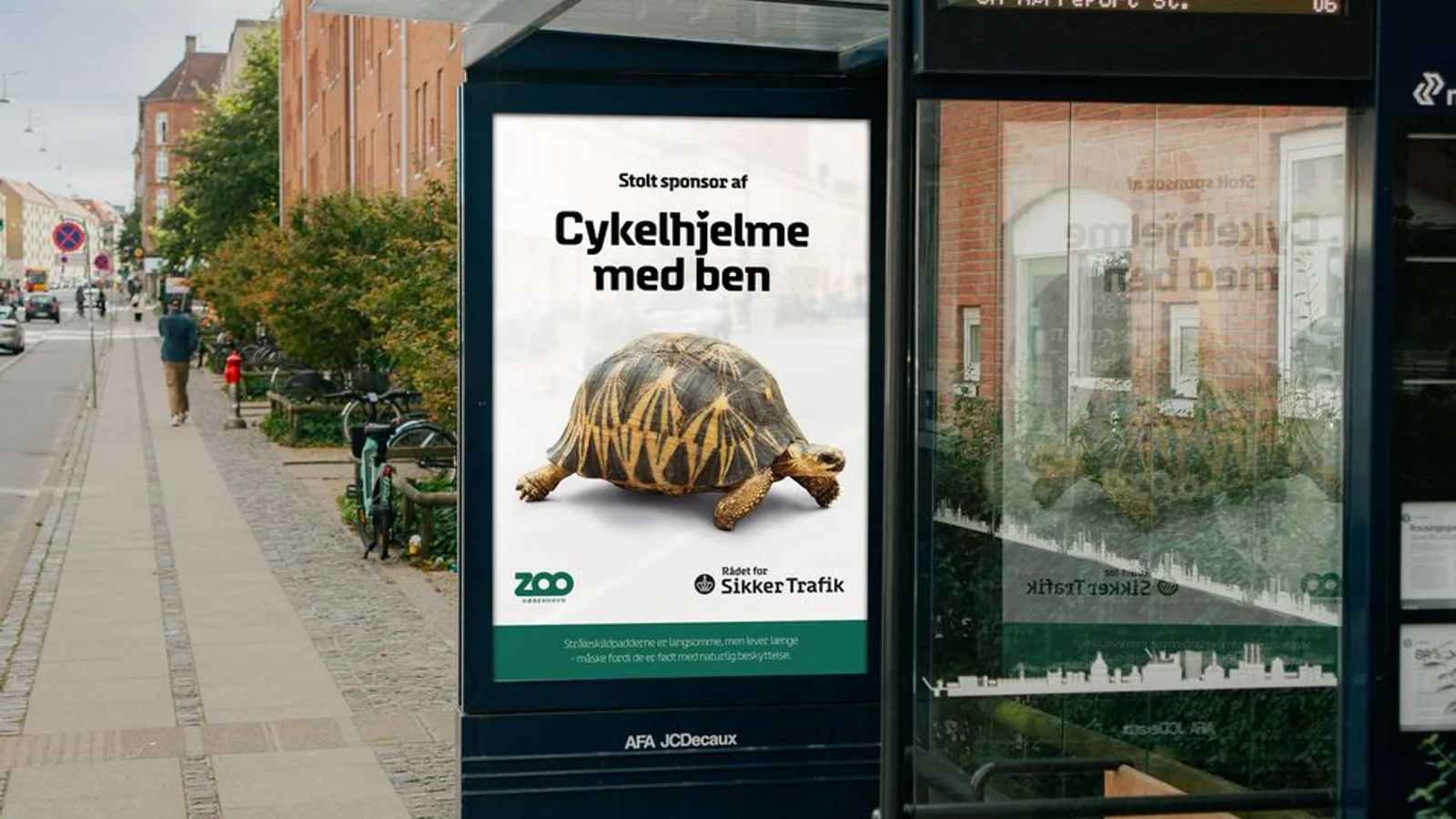 Skildpadder viser vejen: Hovedstadens cyklister kan lære af dyrene