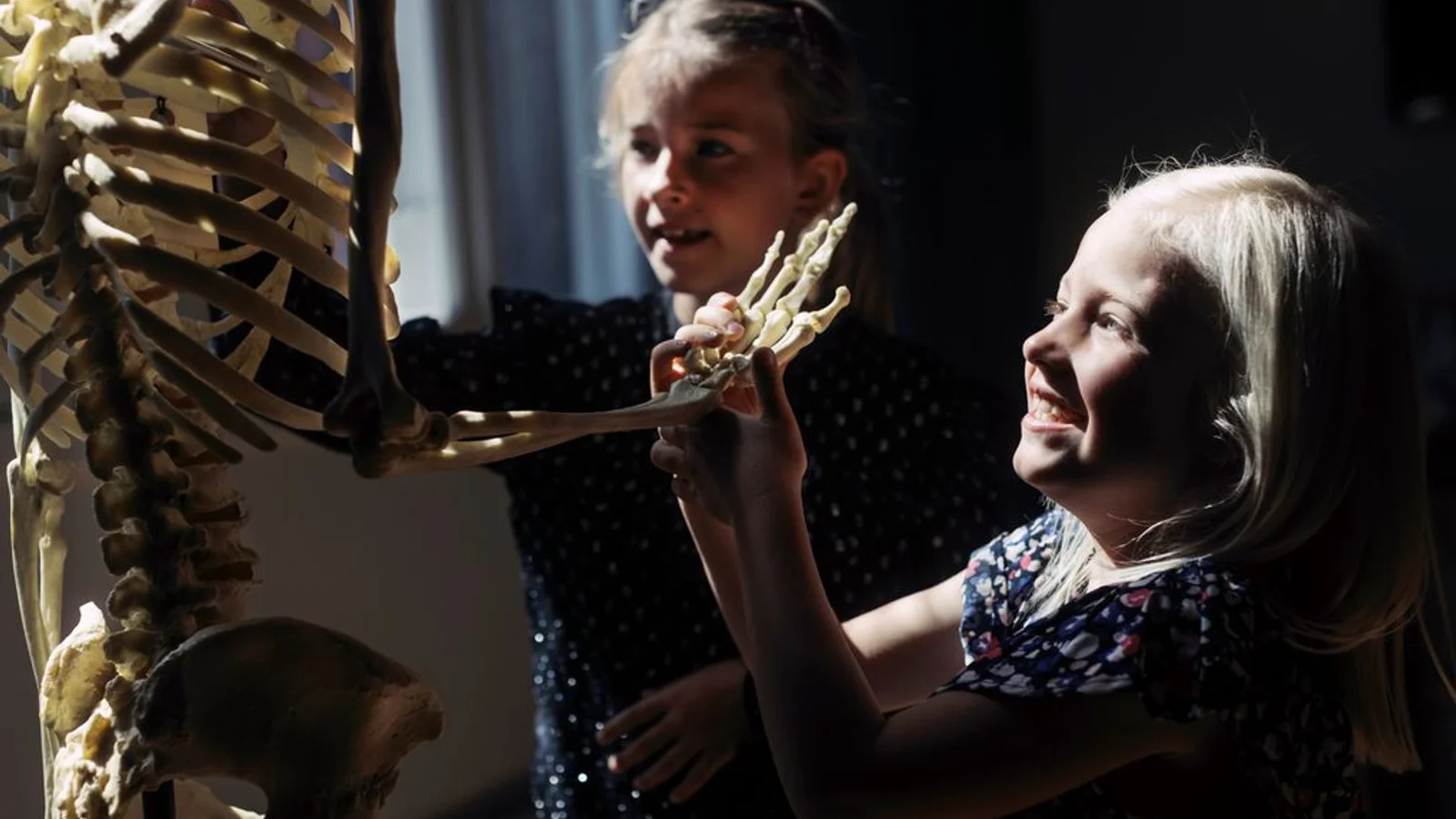 Sjove aktiviteter for hele familien i vinterferien på Statens Naturhistoriske Museum
