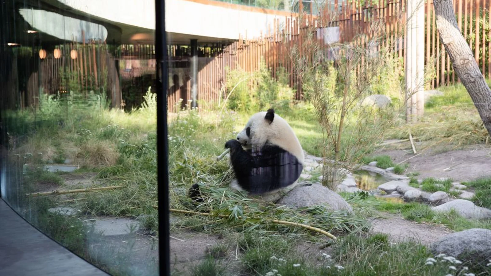 Ny restaurant åbner i legendariske lokaler i ZOO