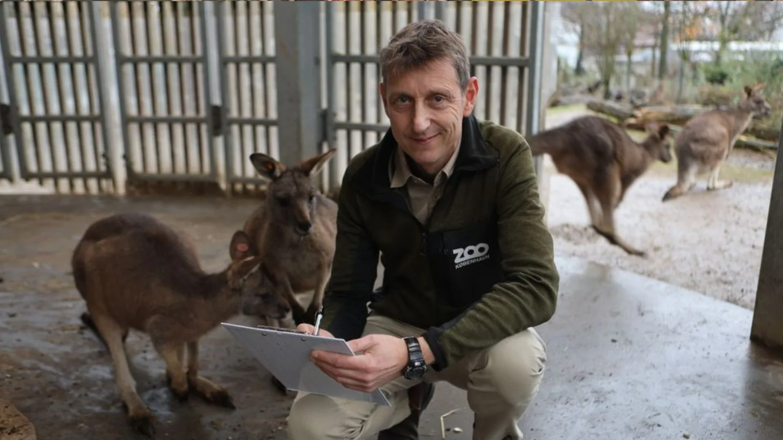 København ZOO har ”produceret” 27.076 dyr i 2023