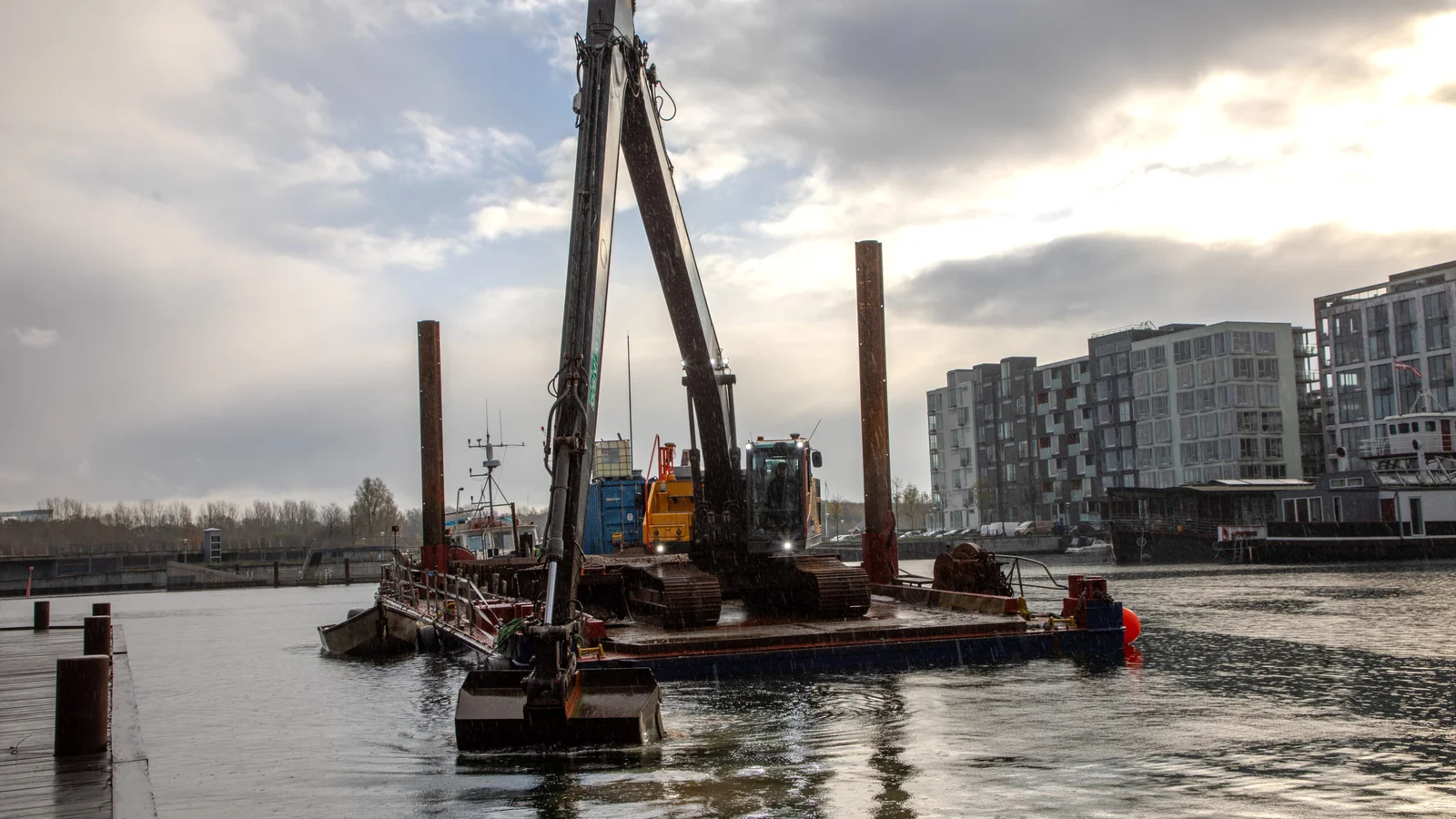 Nye levesteder for ålen gør Københavns Havn til verdens første ålerefugium
