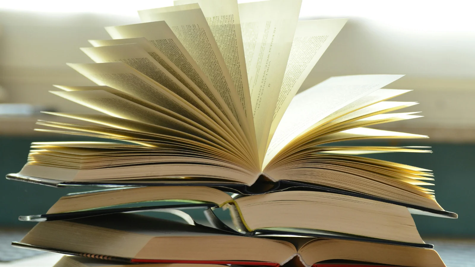 Amager er blevet et bibliotek rigere: Kom med til indvielse