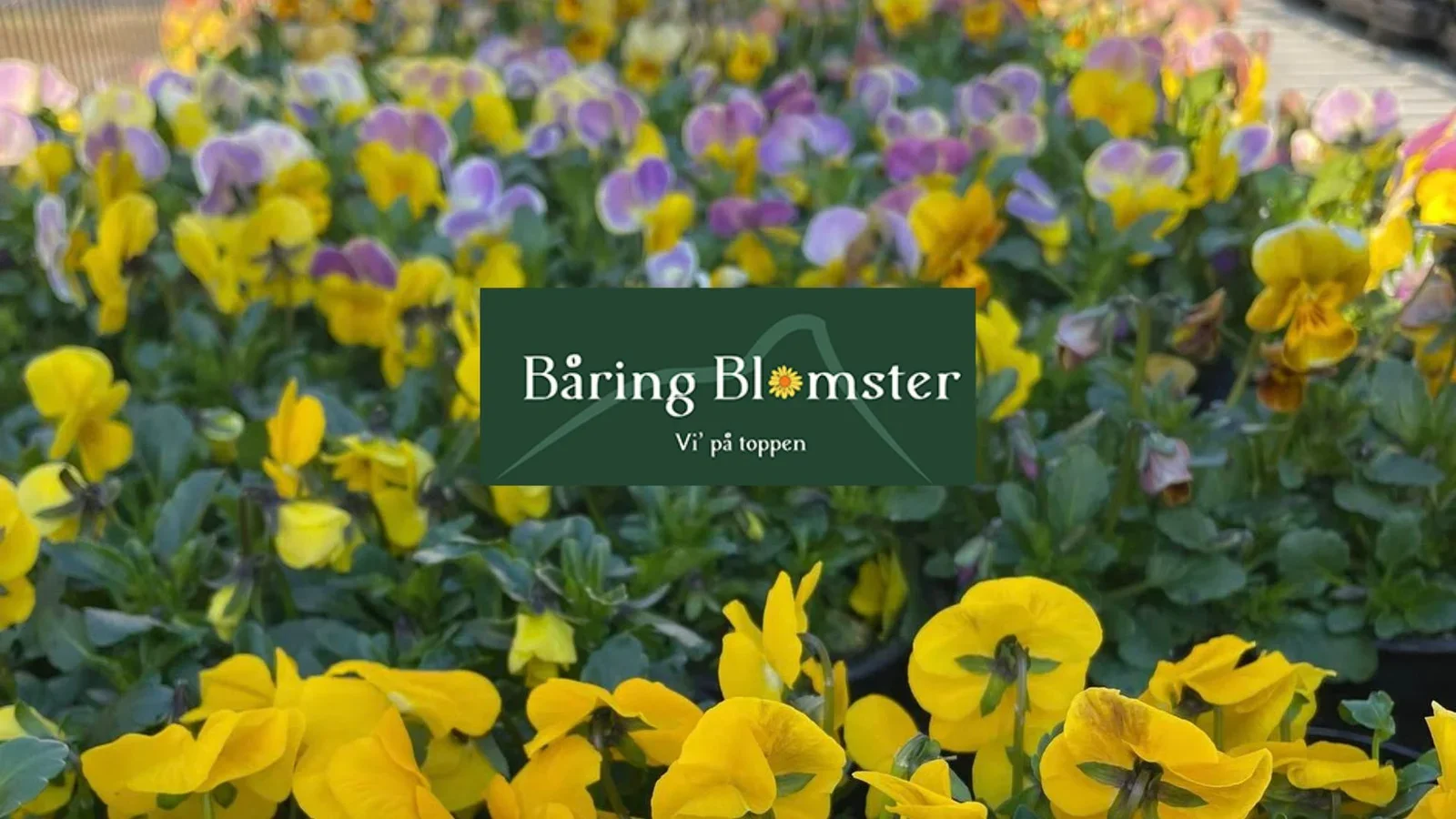 Båring Blomster søger ny medarbejder