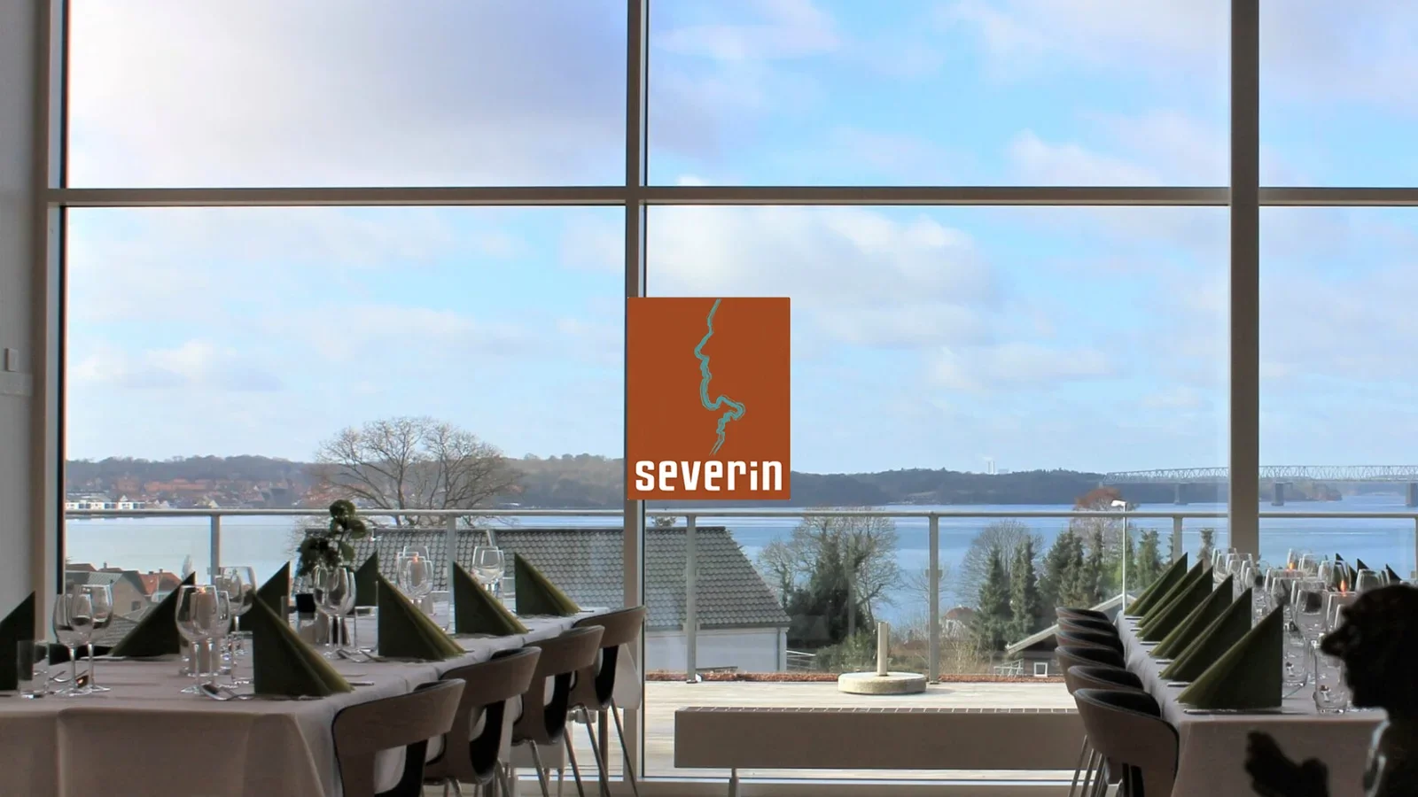 Severin søger en salgschef
