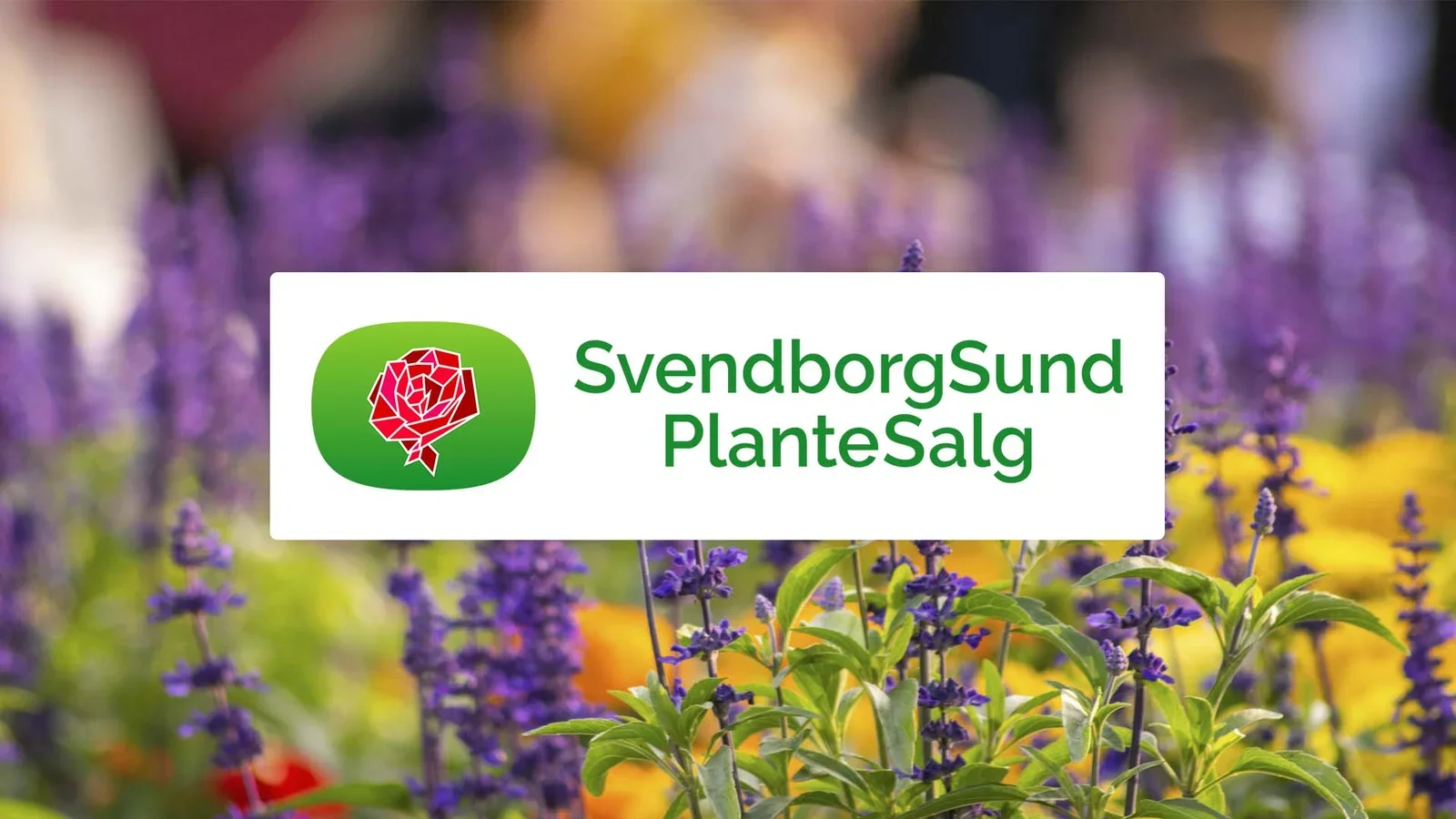 SvendborgSund PlanteSalg søger en ny kassemedarbejder