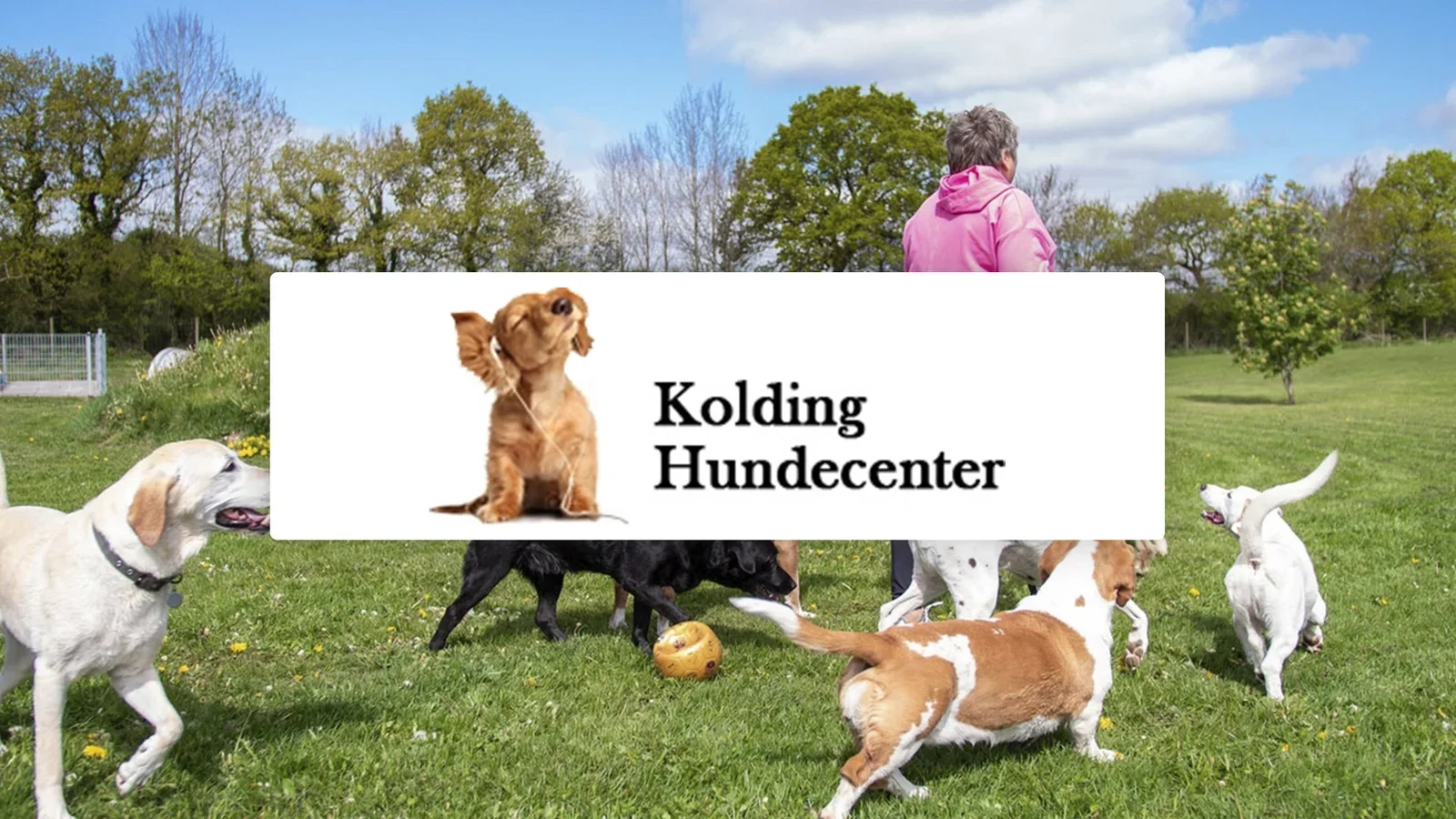 Kolding Hundecenter søger en blæksprutte