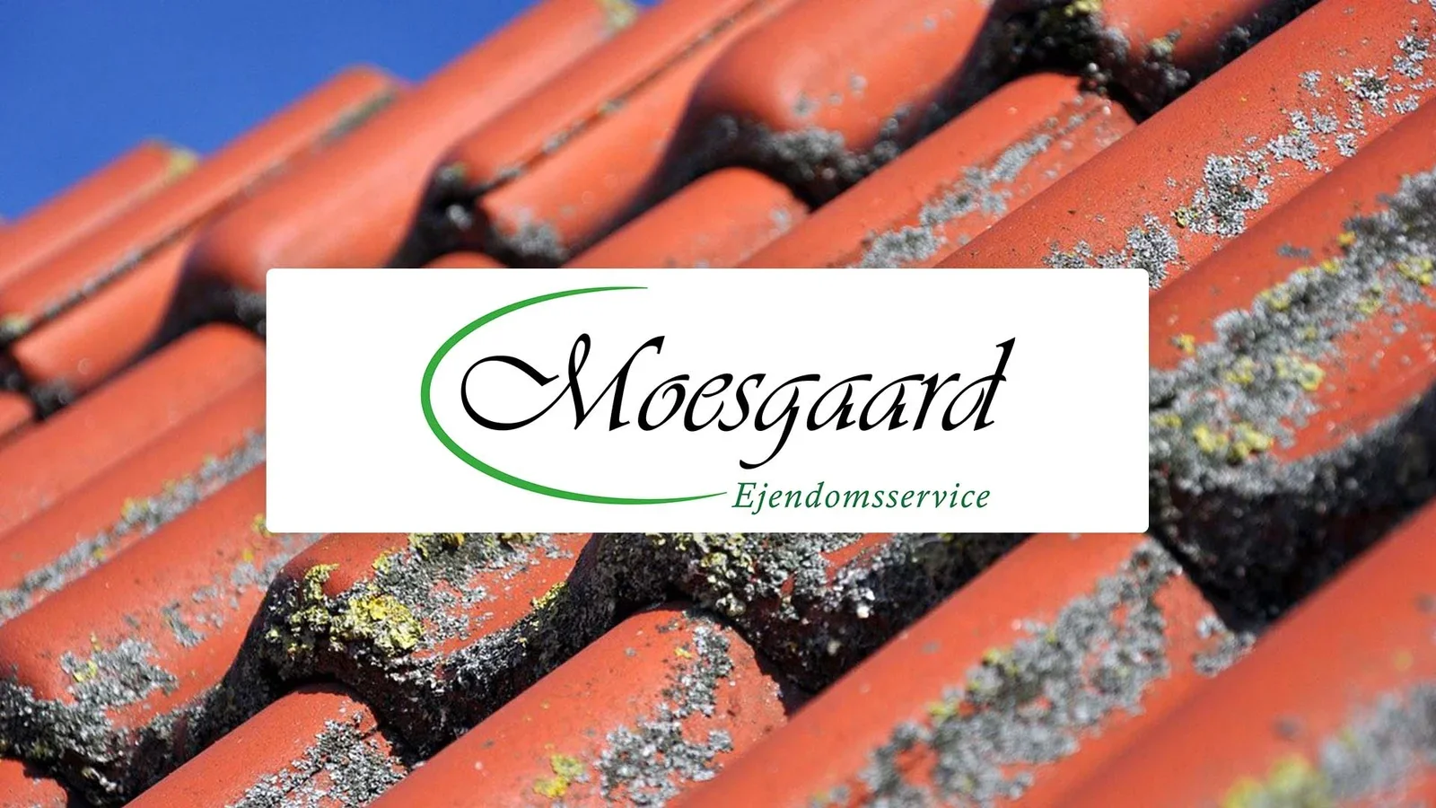 Moesgaard Ejendomsservice søger vinduespudser til ny afdeling