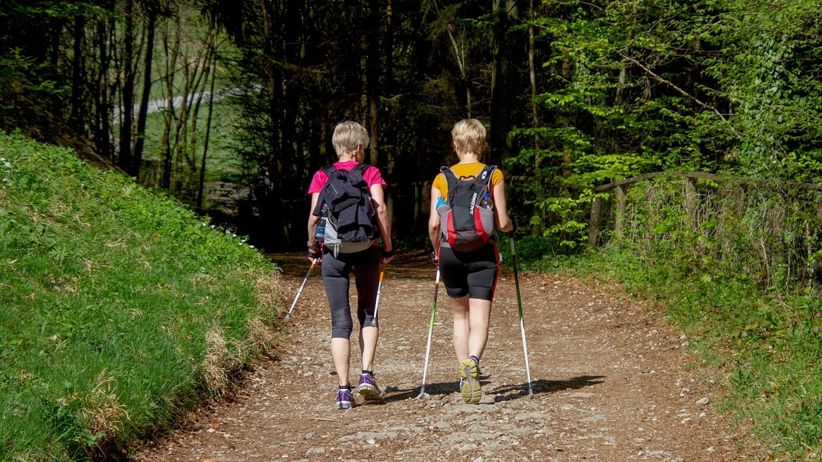 Assens Kommune søger medarbejder med passion for naturbeskyttelse og friluftsliv