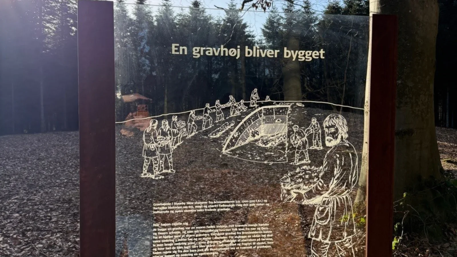 Ny natur- og kulturrute indvies i Staurby Skov
