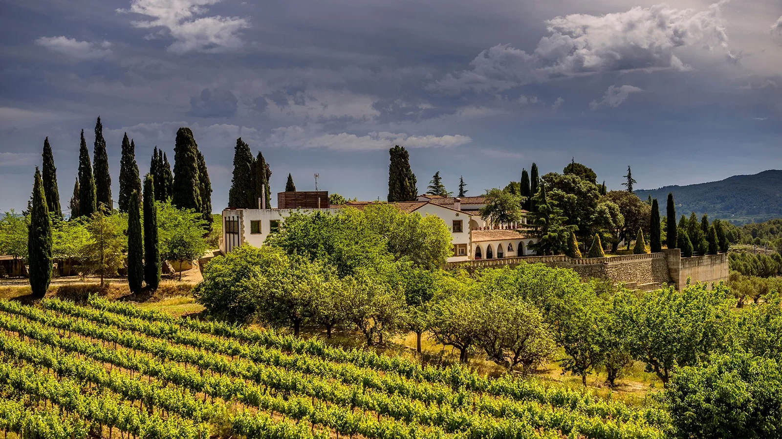 Winemakers Dinner med Juve y Camps og Pagos de Anguix