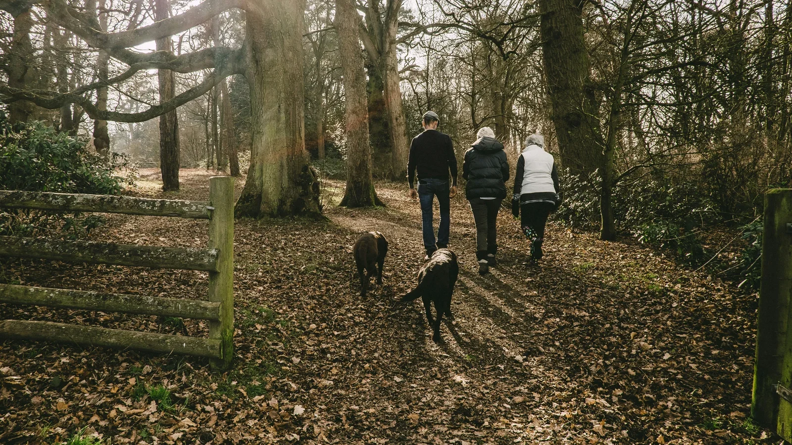 Hunde Walk and Talk med Kitt & Ko