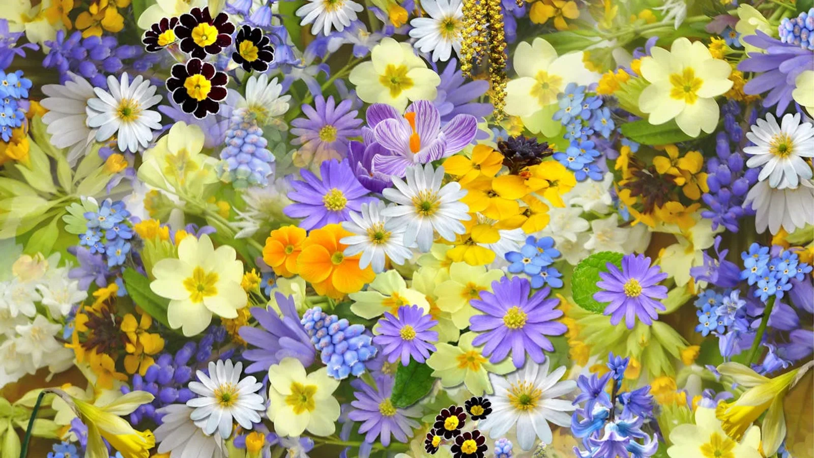 Humlemagasinet Blomstrer - åbning af årets udstilling