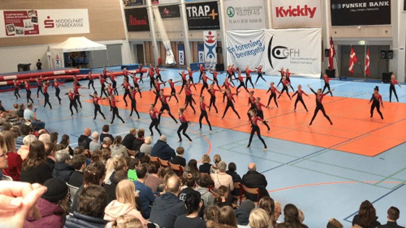 DGI gymnastikopvisning
