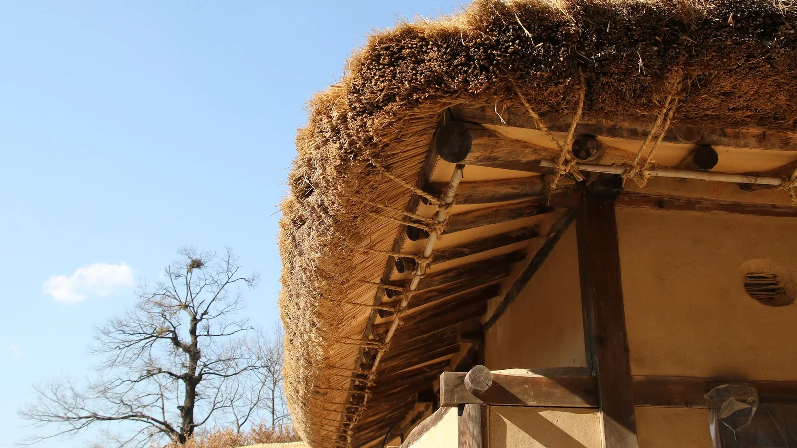 European Straw Building Gathering 2023 hos Brenderup Højskole