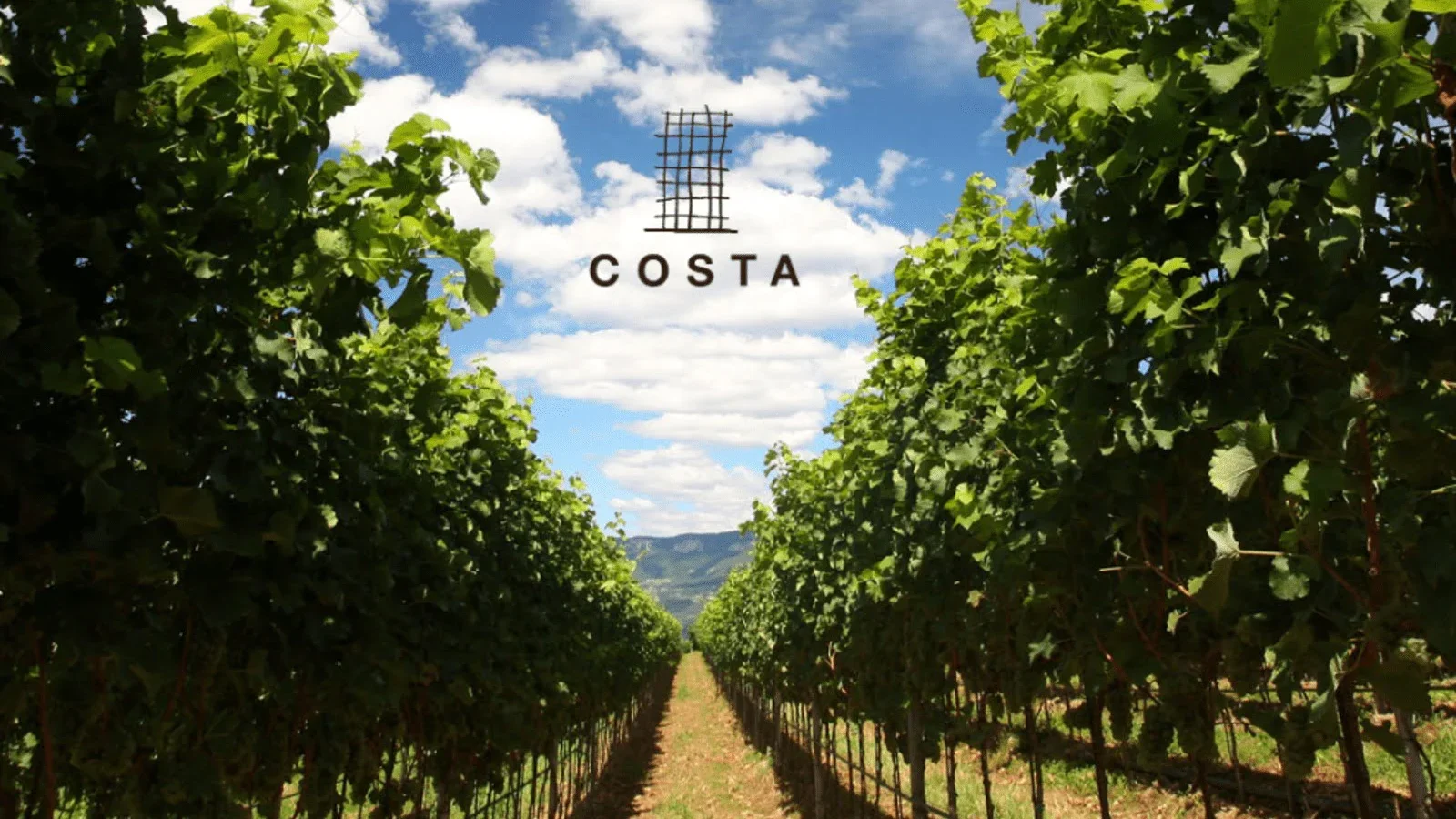 Winemakers Dinner med Tenute Costa
