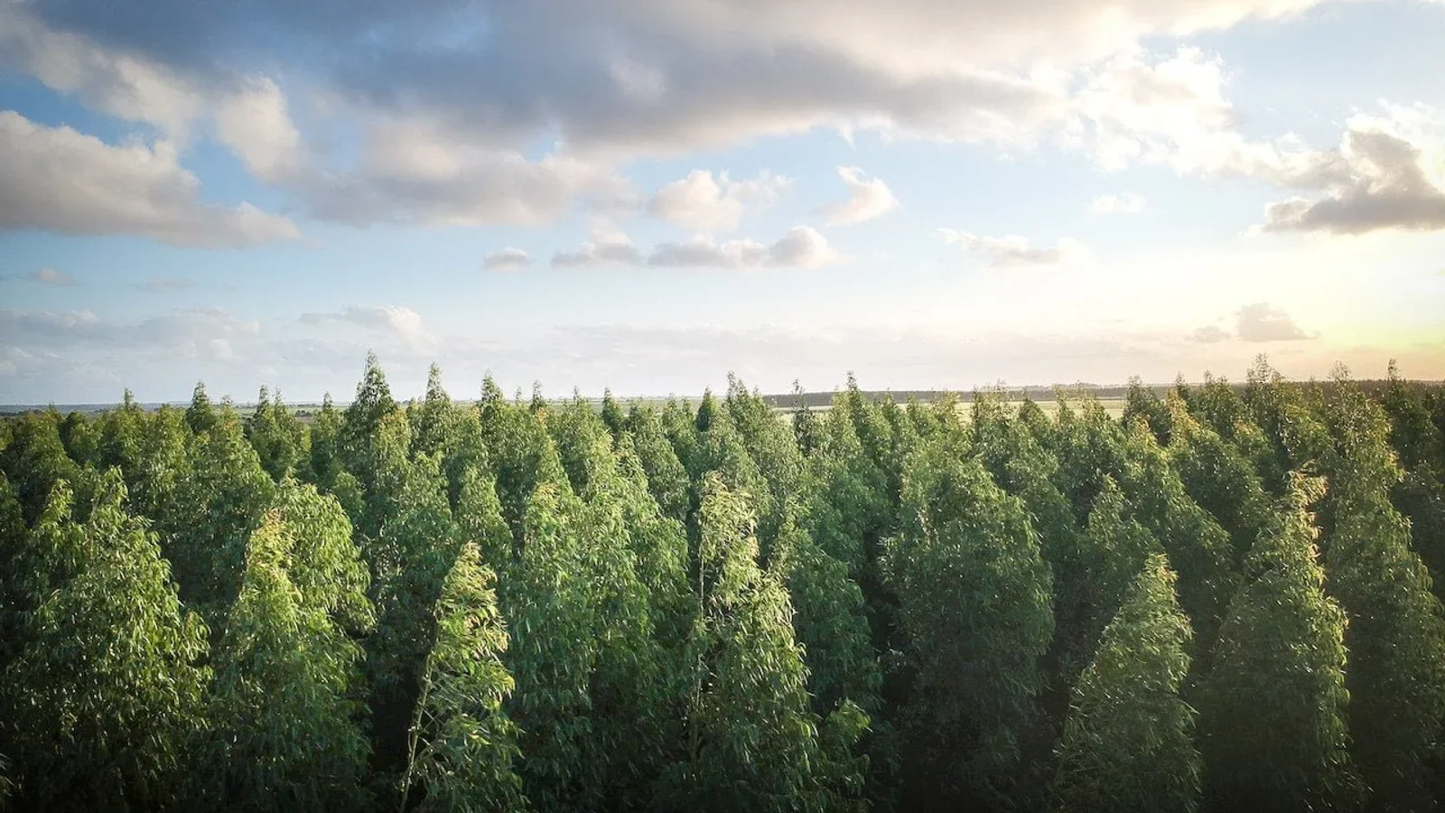 Infomøde for frivillige på klimafolkemødet