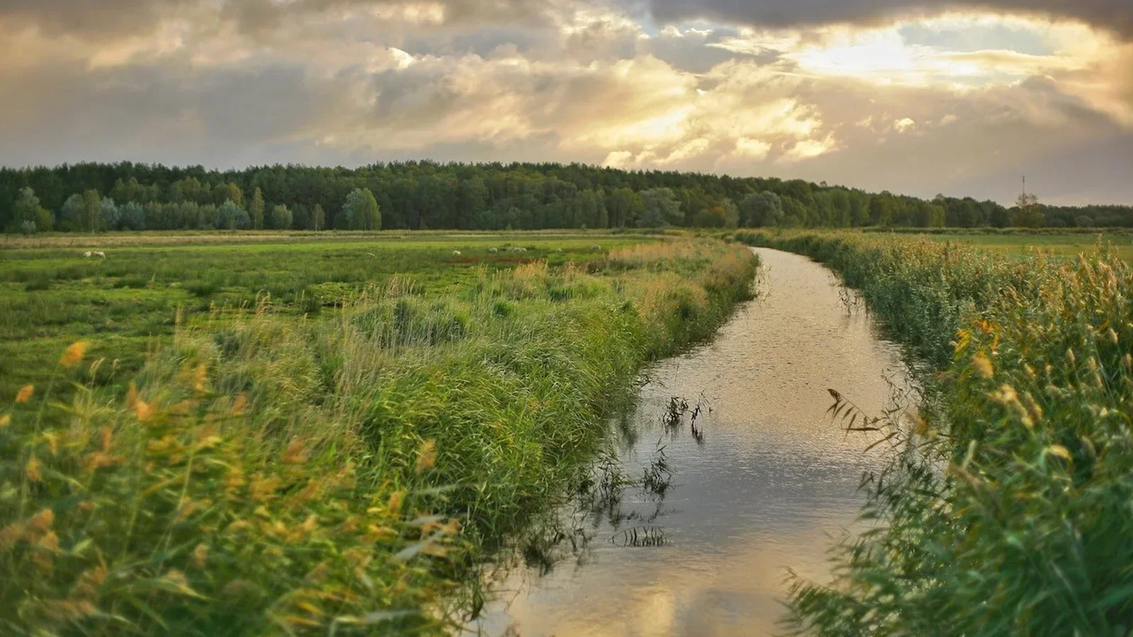 Søndagstur ved Viby Å