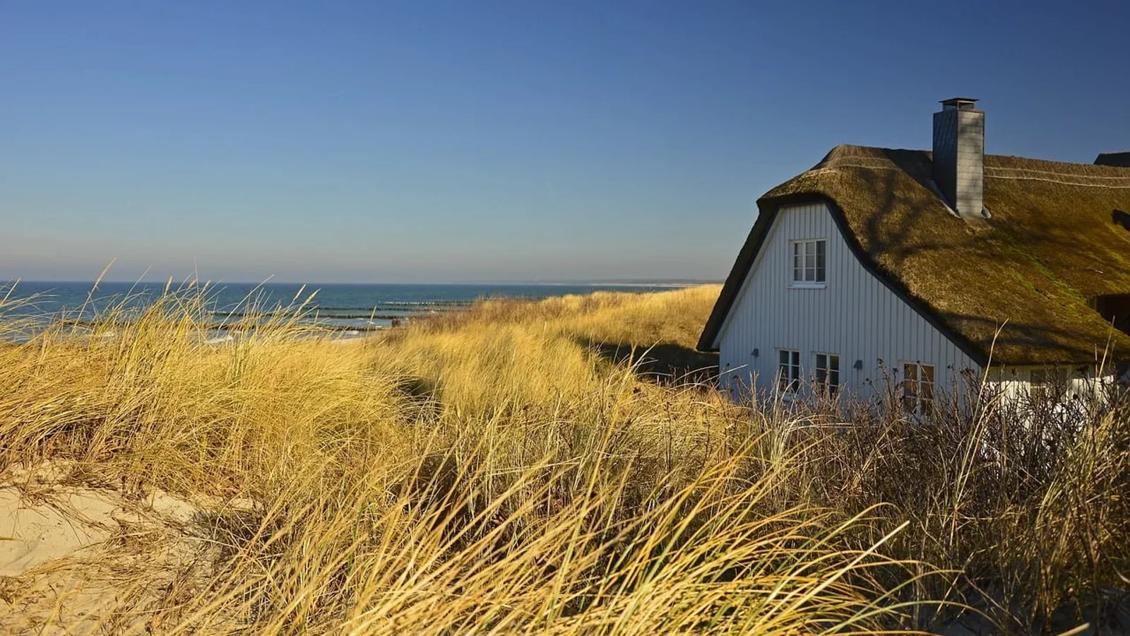 Sommerhus-inspirationsaften