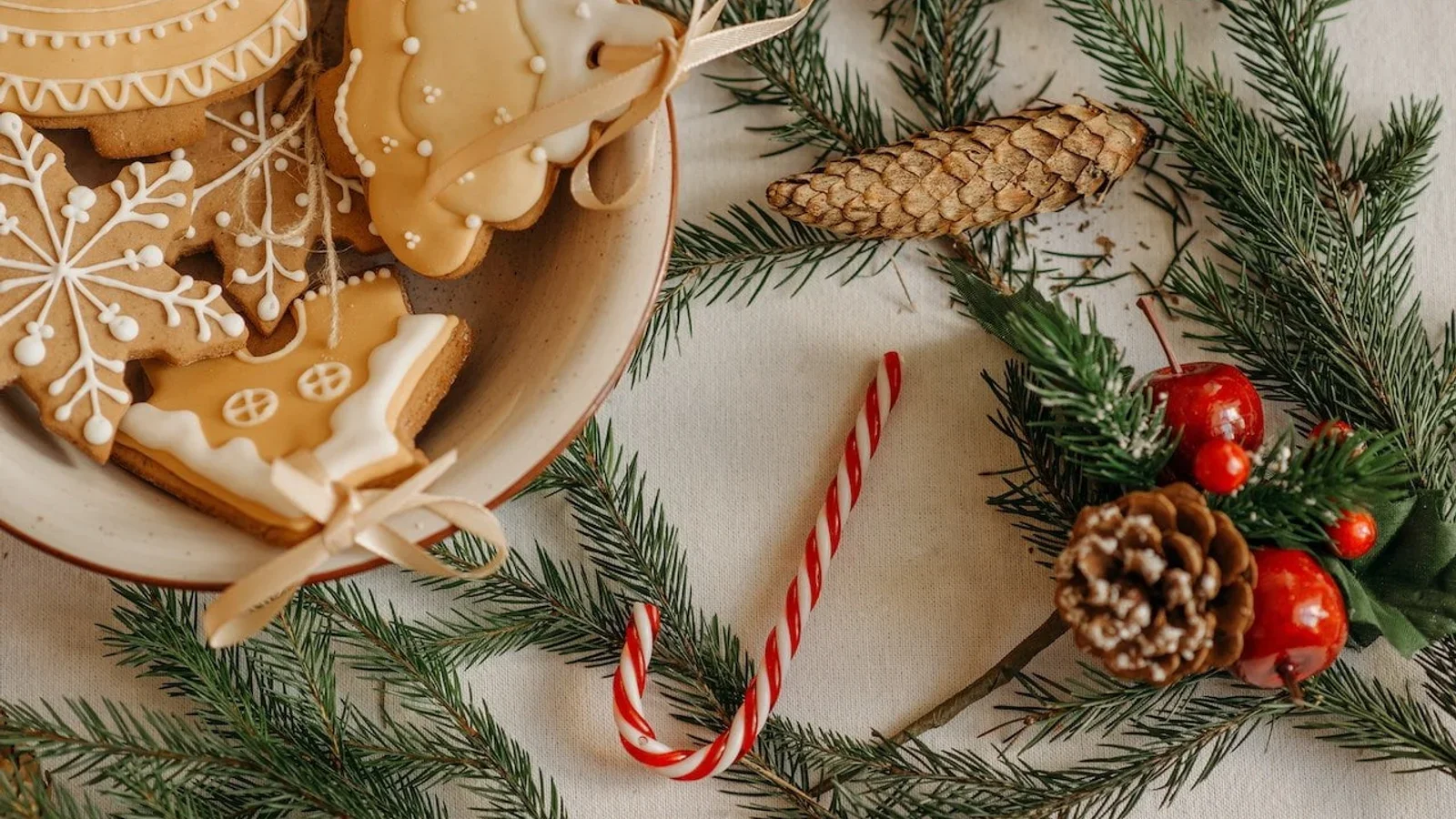 Julehygge hos Fjelsted Skov