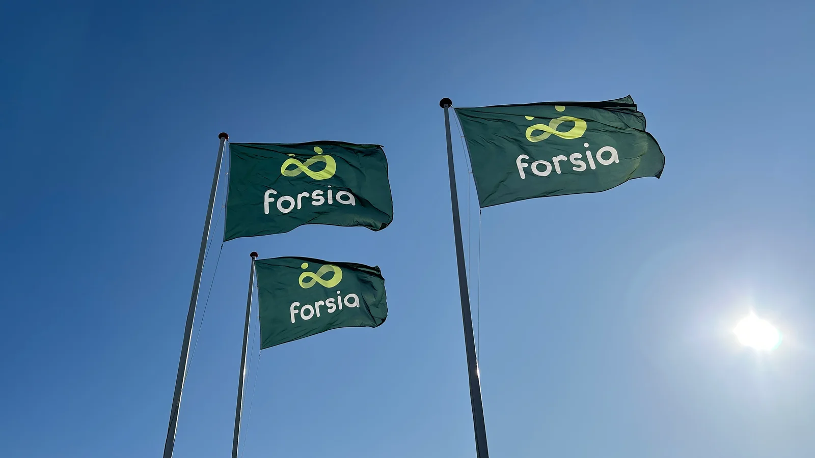 Bestyrelsen i Forsia Foreningen og Forsia Forsikring får ny formand