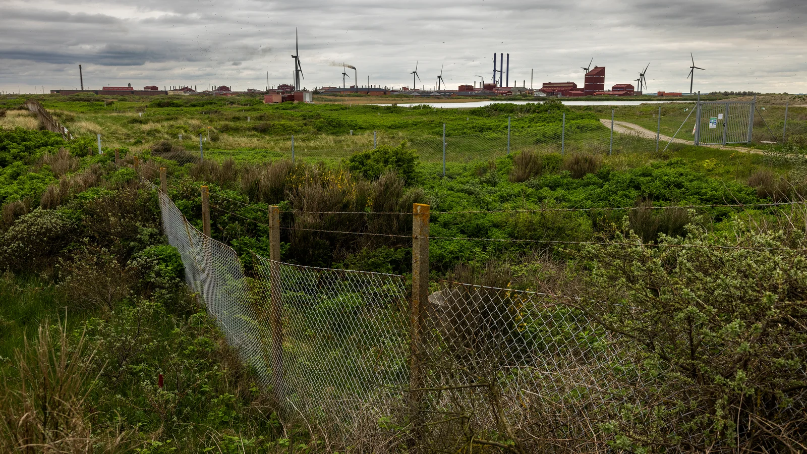 Region Midtjylland indgår kontrakt om sikring af Cheminovas gamle fabriksgrund