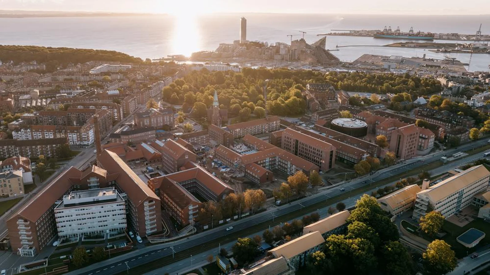 AU opruster massivt på innovation og iværksætteri: Søger 52 nye forskere