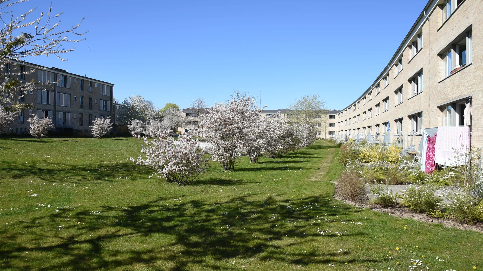 Ny rapport: udsatte boligområder i stor forandring