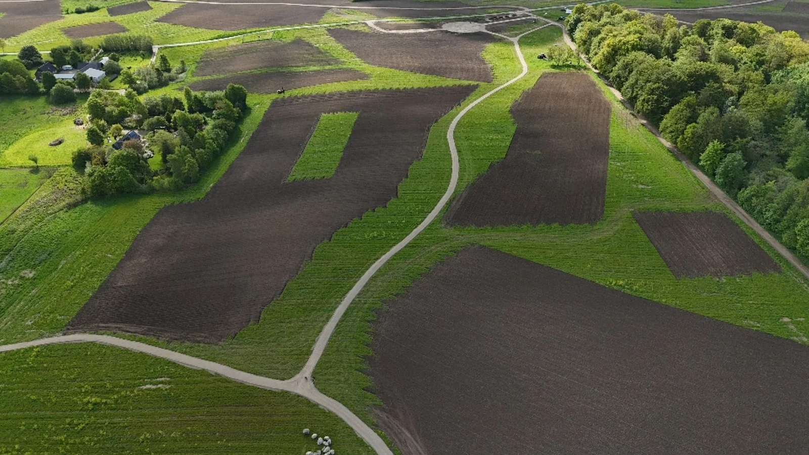 Naturstyrelsen indvier Danmarks første nyetablerede statsskov, der skal blive til ”urørt” skov