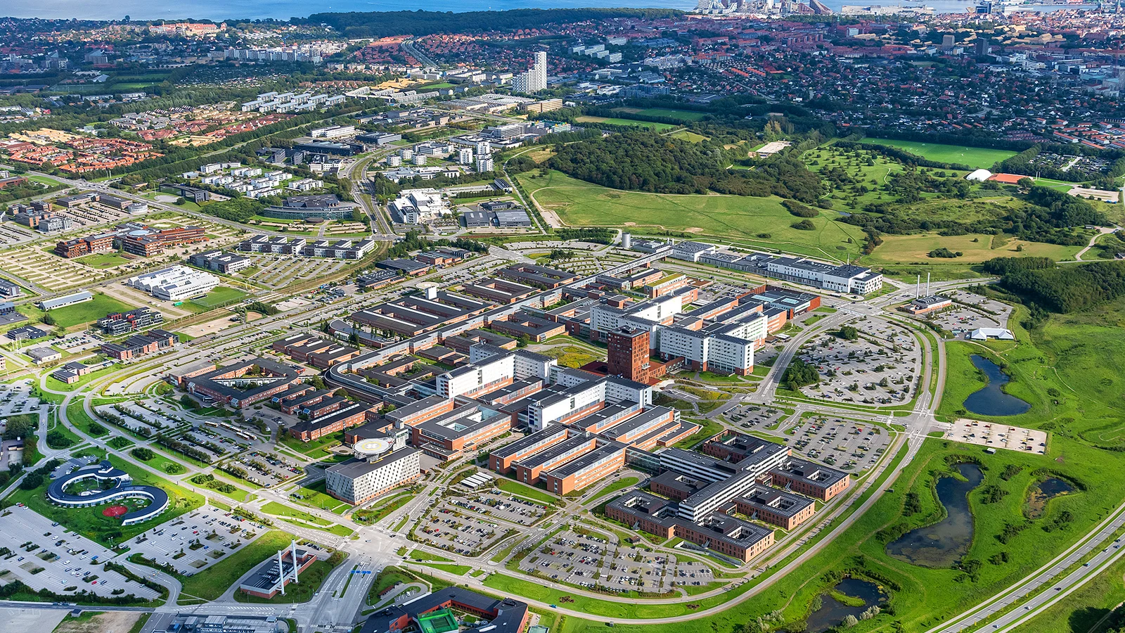Stor europæisk anerkendelse af kræftindsatsen på AUH: Første danske hospital med topcertificering