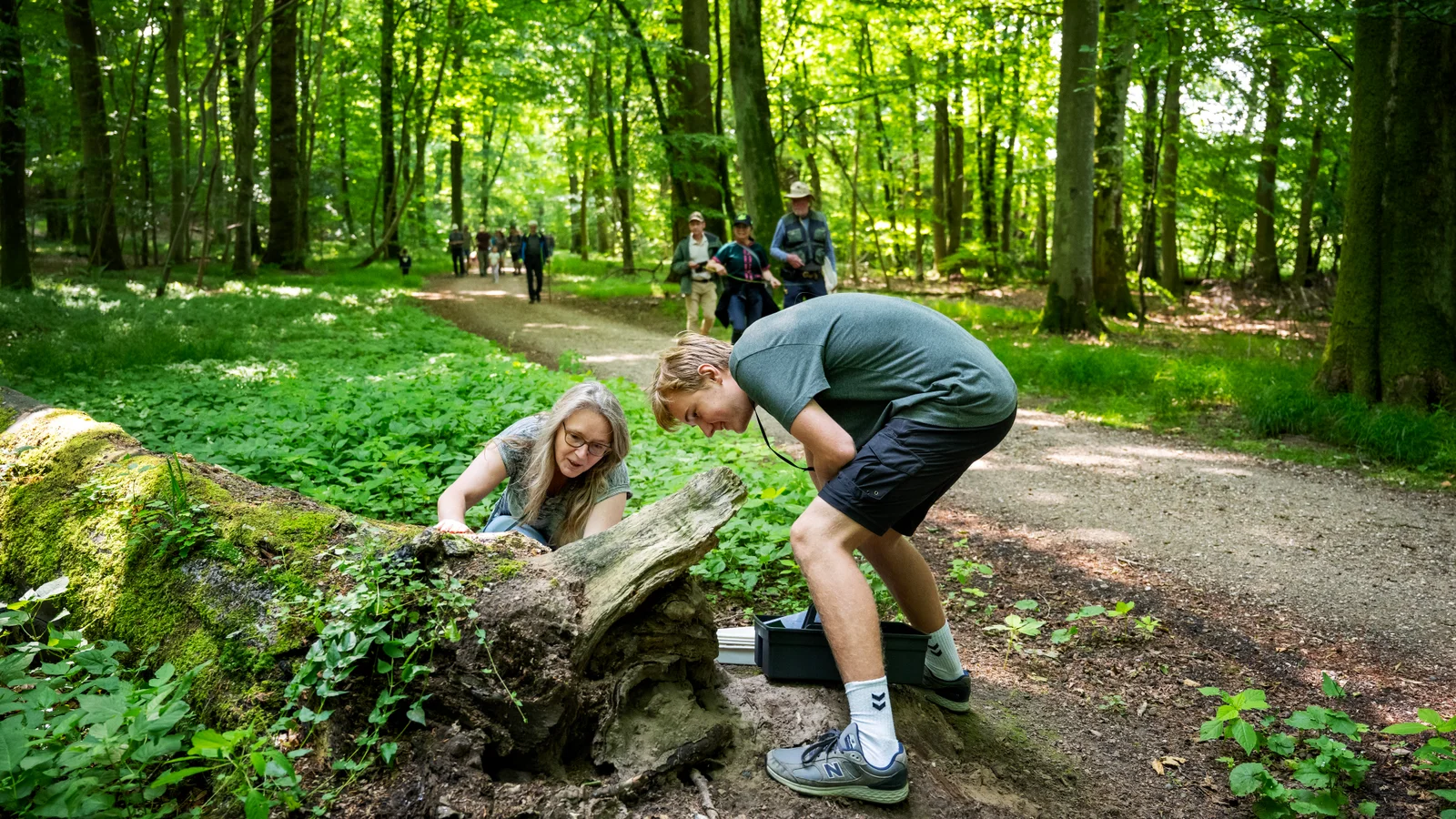 Et år efter: Naturen har allerede fået mere vand, lys og luft i Danmarks første naturnationalpark