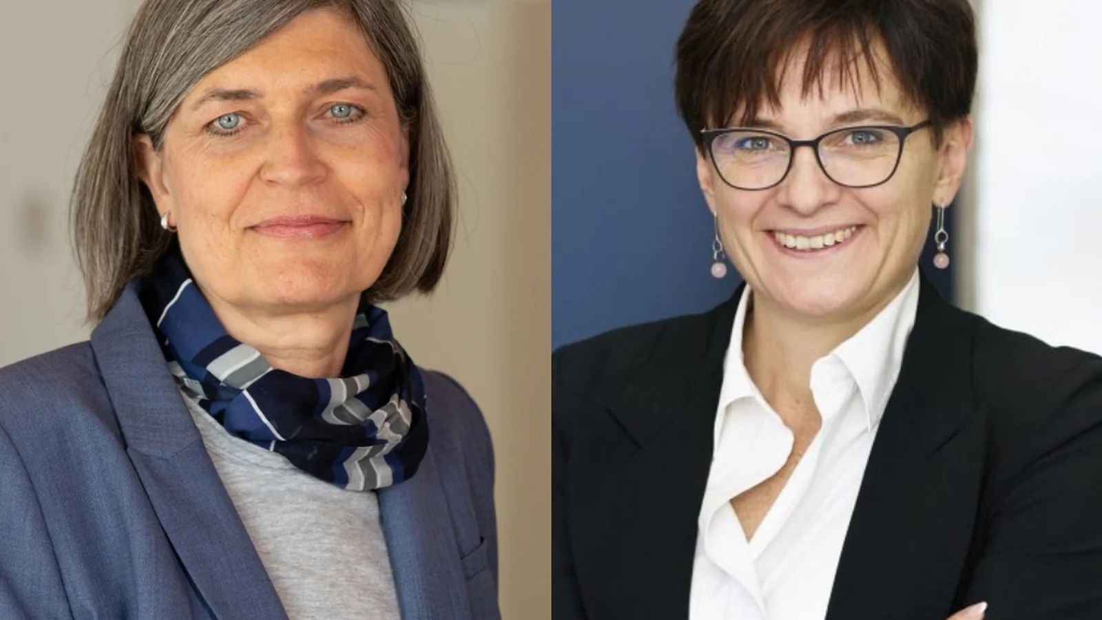 Tidligere NATO og USA-ambassadør og erfaren advokat inden for kulturfeltet indtræder i Dansk Kulturinstituts bestyrelse