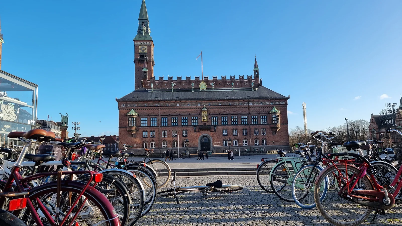 Borgmestre vil sætte ind over for sommerkaos på cykelstierne