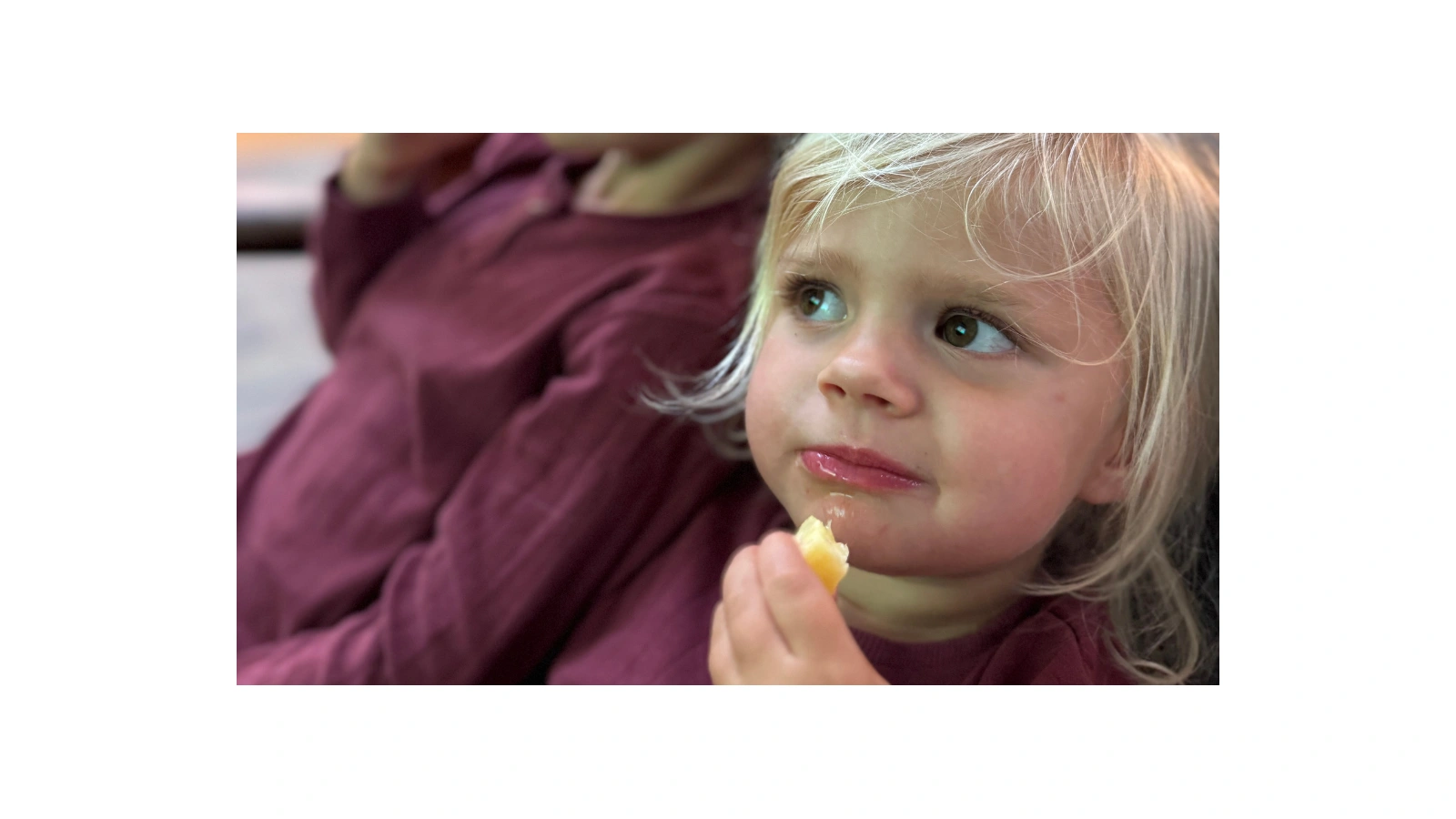 Madpakke eller kommunal frokost? Forældre i Holbæk skal vælge mad i daginstitutionen