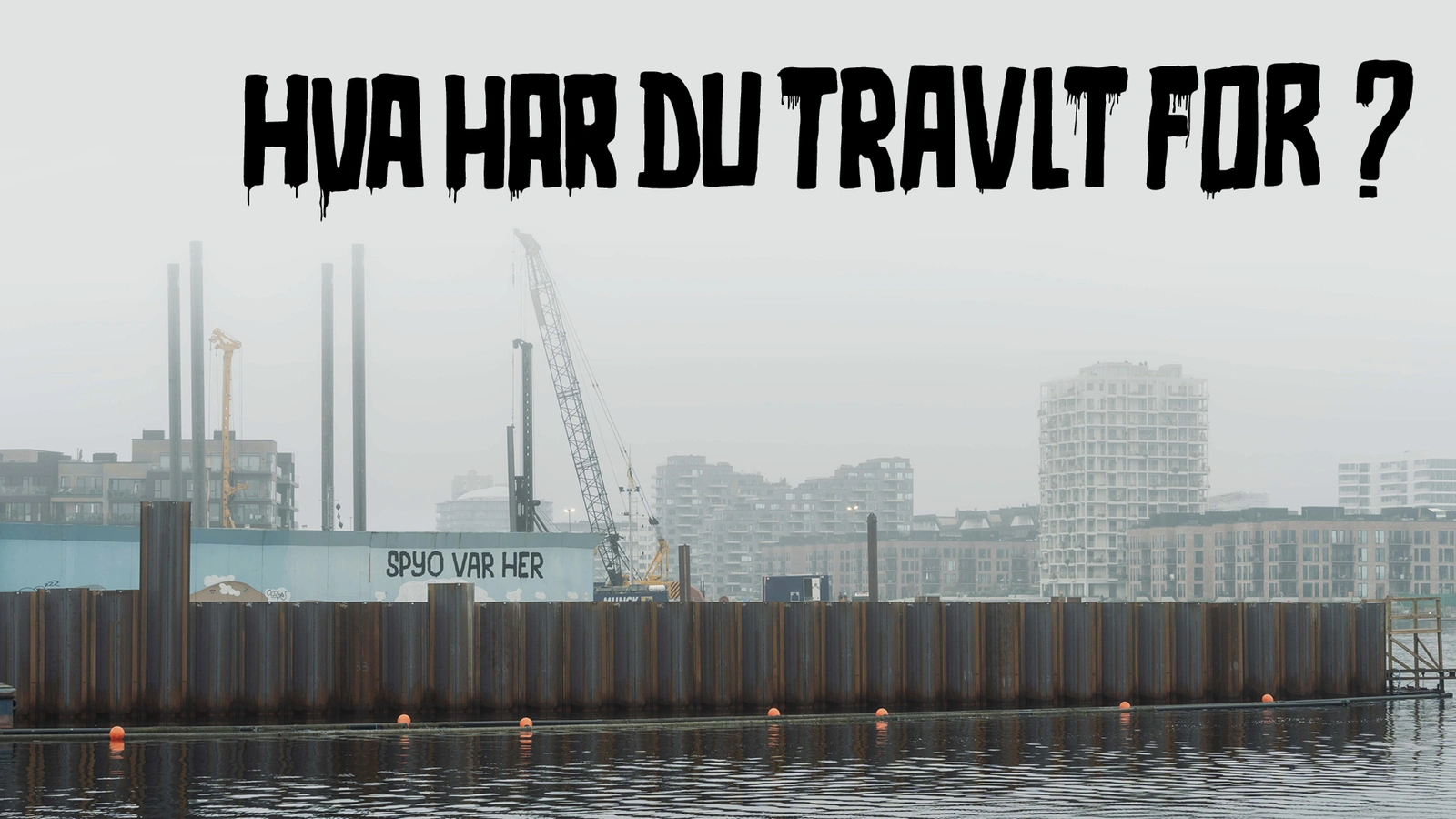 HVA’ HAR DU TRAVLT FOR?