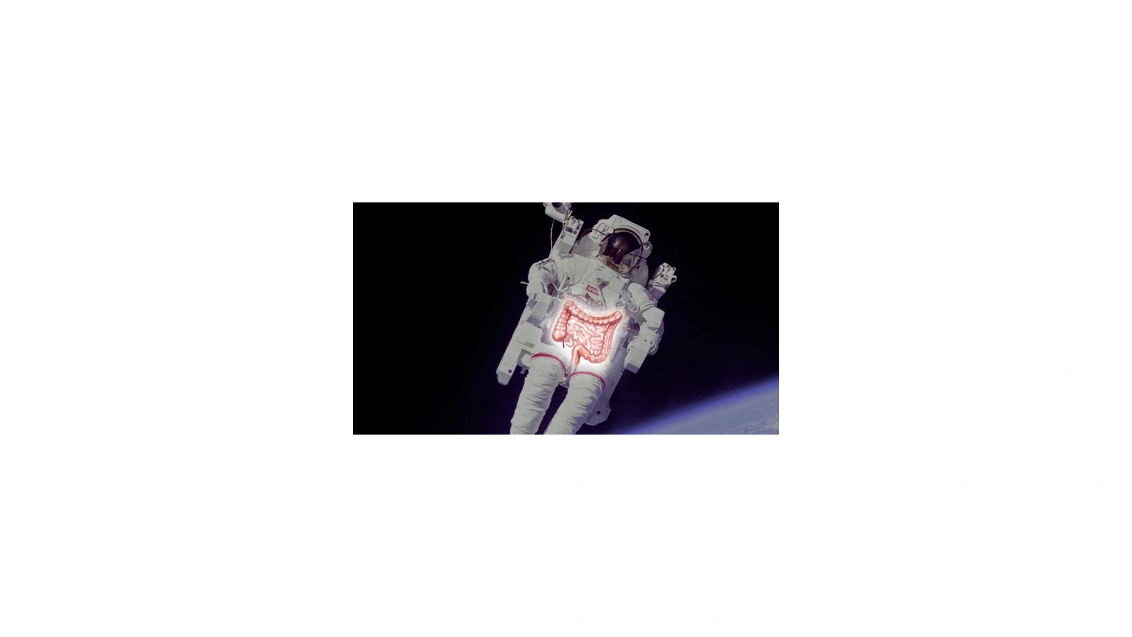 Constipation is common in astronauts – blood tests provide new answers